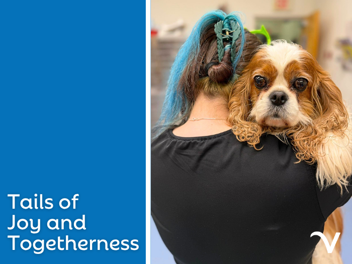 Tails of Joy and Togetherness