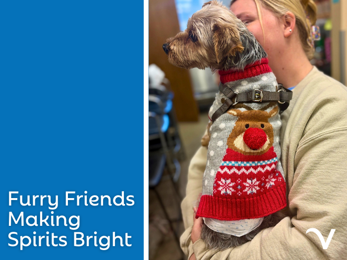 Furry Friends Making Spirits Bright