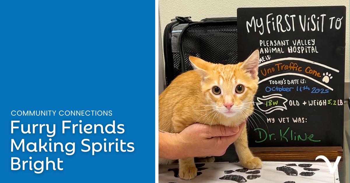 Furry Friends Making Spirits Bright