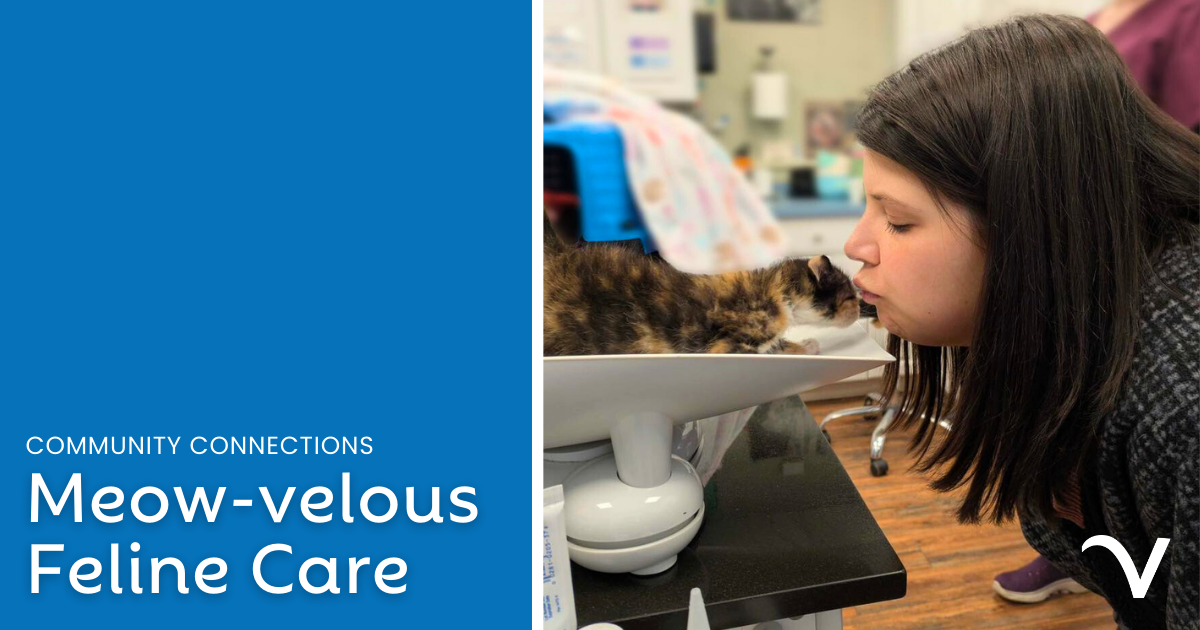 Meow-velous Feline Care