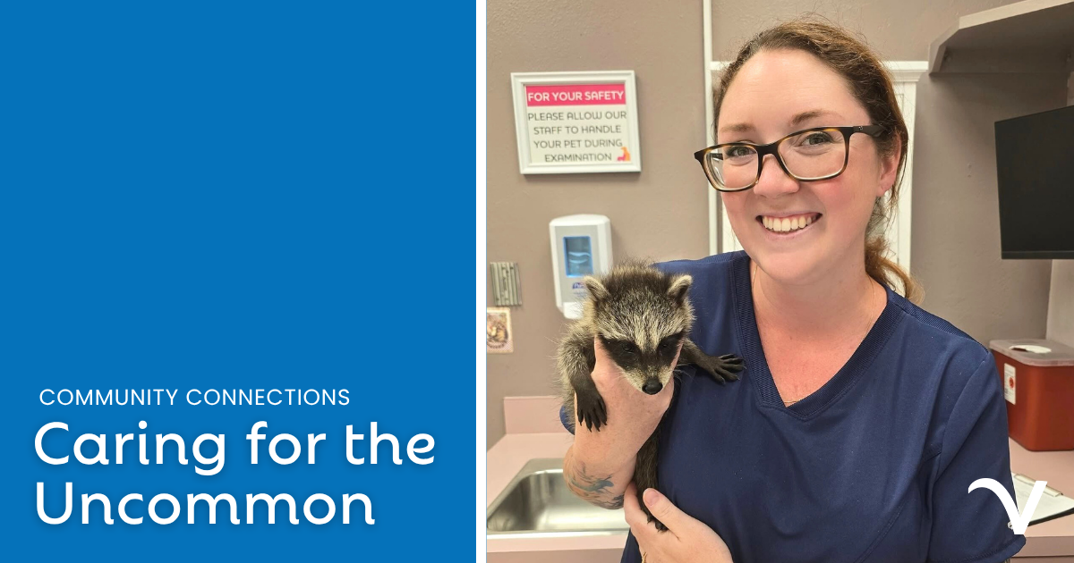 Caring for the Uncommon