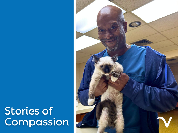 Every Paw and Claw Print Tells a Story of Compassion