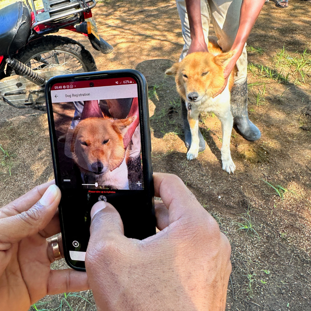 Rabies Education in Communities