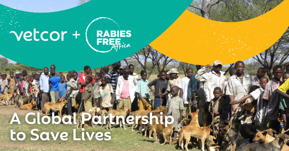 Rabies Free Africa: Vetcor's Global Mission to Save Lives