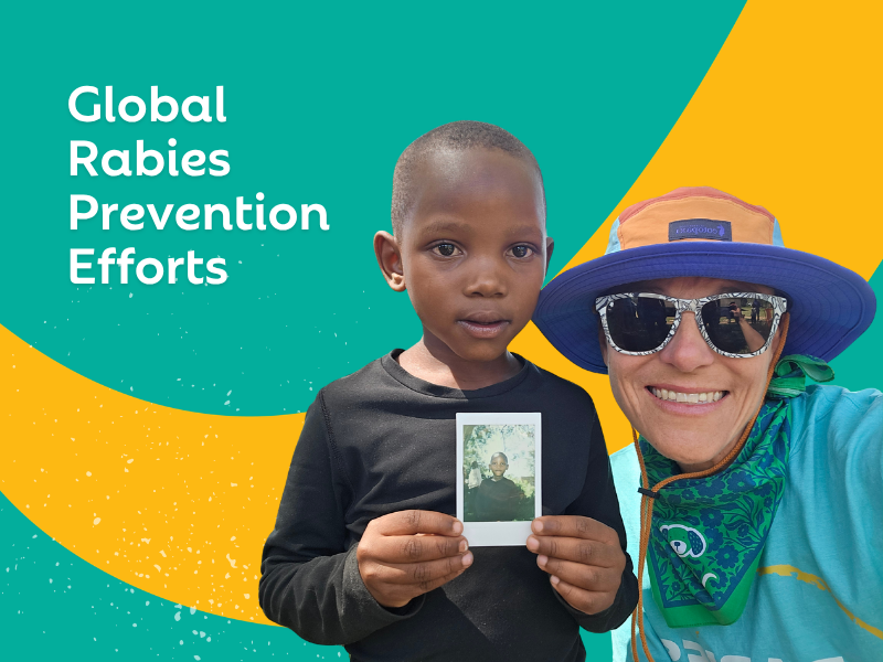 Polo Springs Veterinary Hospital Supports Global Rabies Prevention Efforts