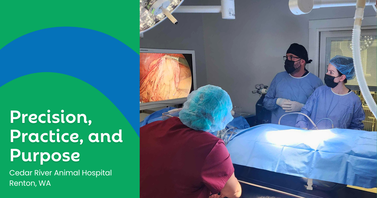 Precision, Practice, and Purpose: Dr. Herron’s Path in Veterinary Laparoscopy