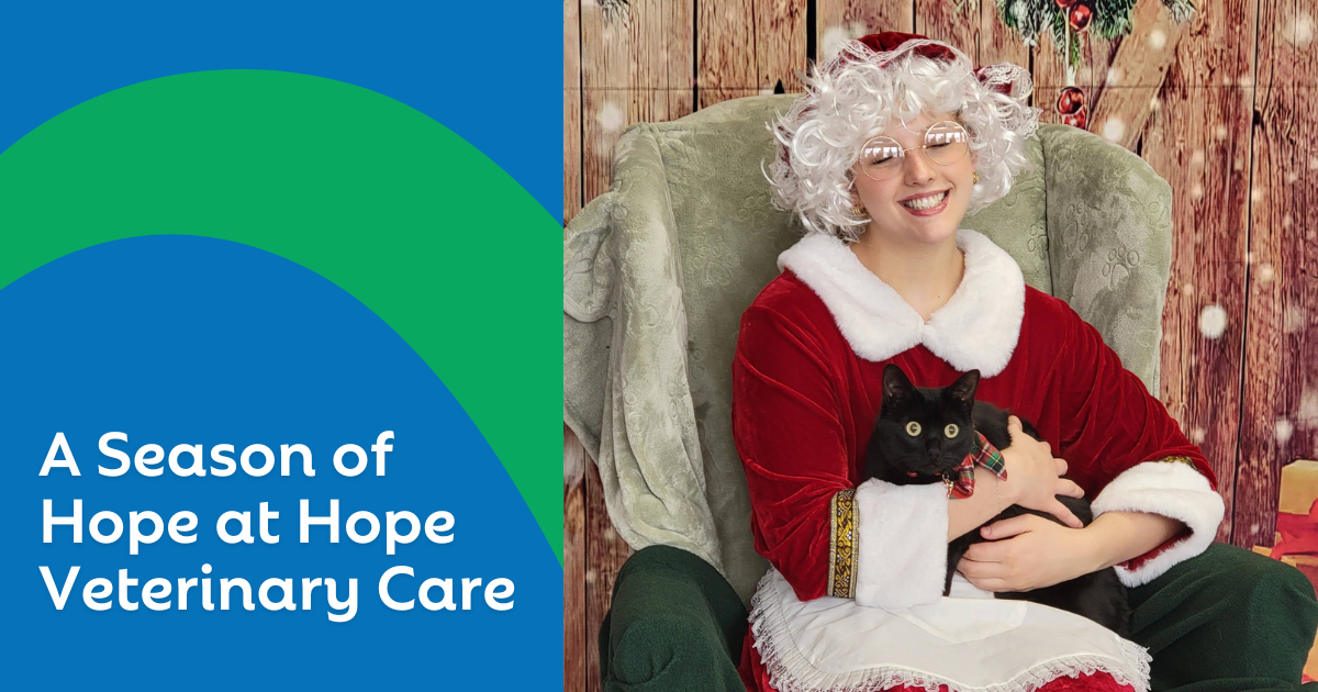 A Season of Hope: How One Small Clinic Made a Big Impact