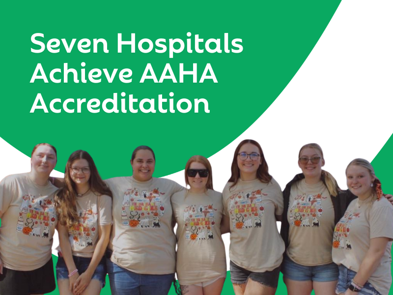 Celebrating Excellence: Seven Vetcor Hospitals Achieve AAHA Accreditation Through the Amplify Program
