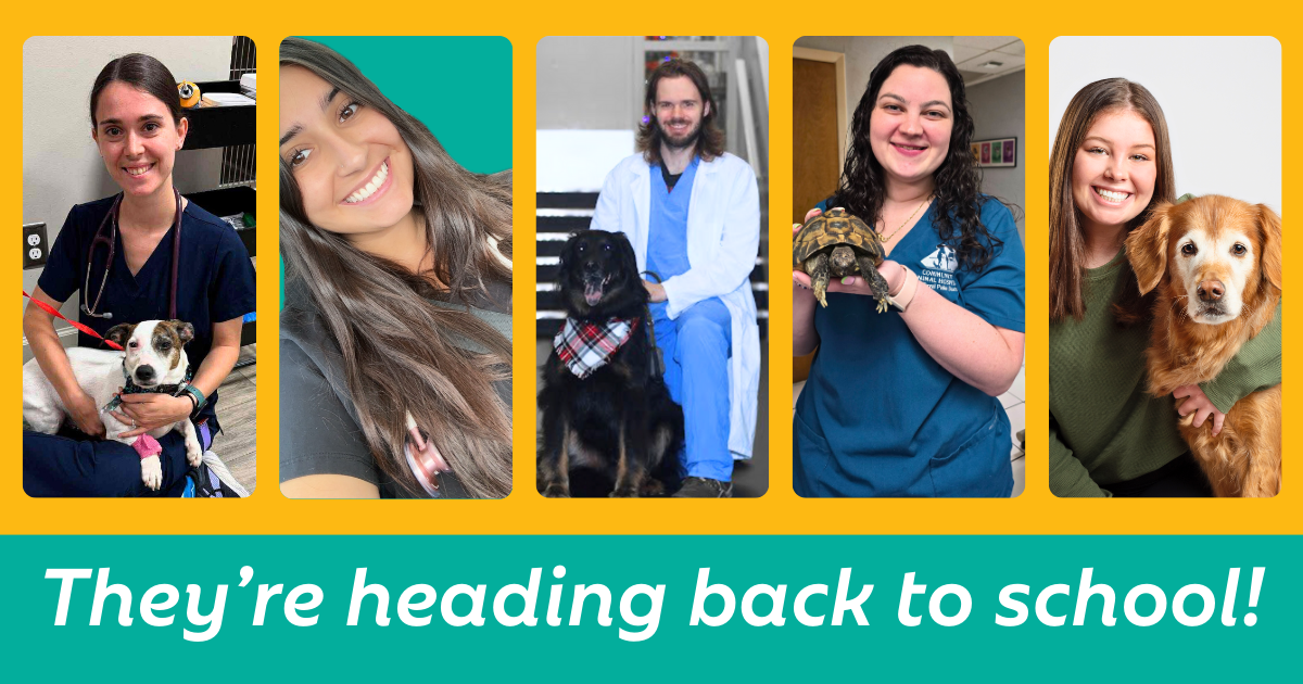 Cheers to the Next Generation of Vets!