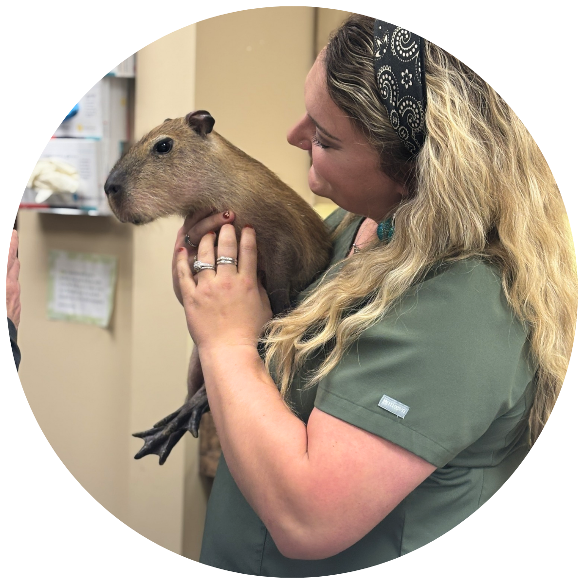 Boulevard Animal Hospital