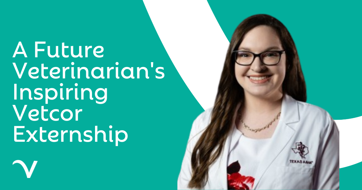 From Classroom to Clinic: A Future Veterinarian’s Inspiring Externship