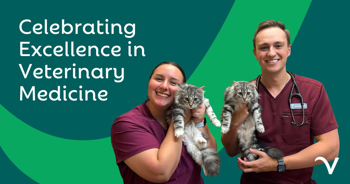Celebrating Excellence in Veterinary Medicine