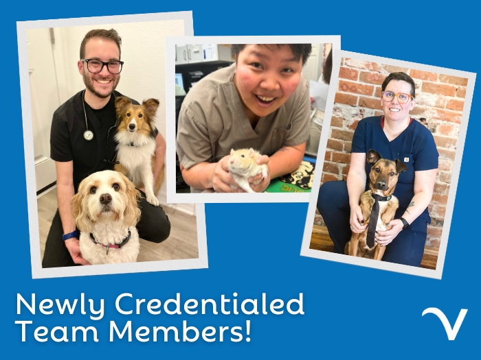 Team Member Certifications