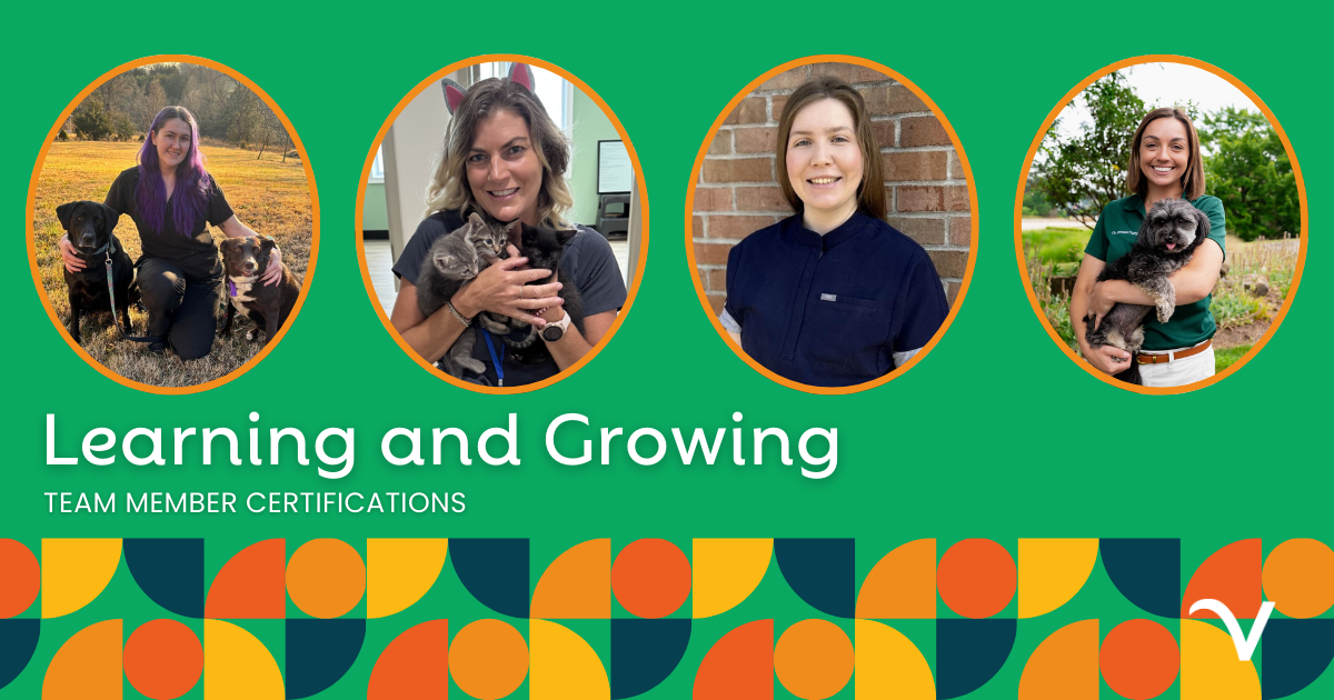 Team Member Certifications