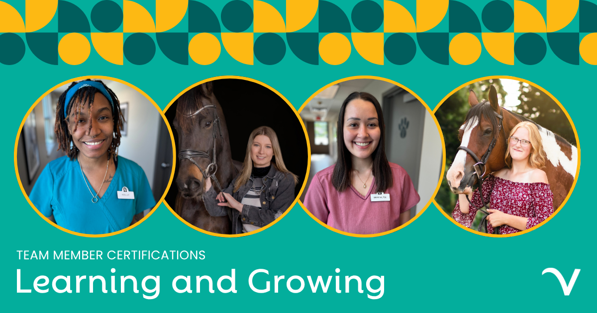 Team Member Certifications