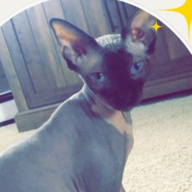 Columbia City Veterinary Hospital 