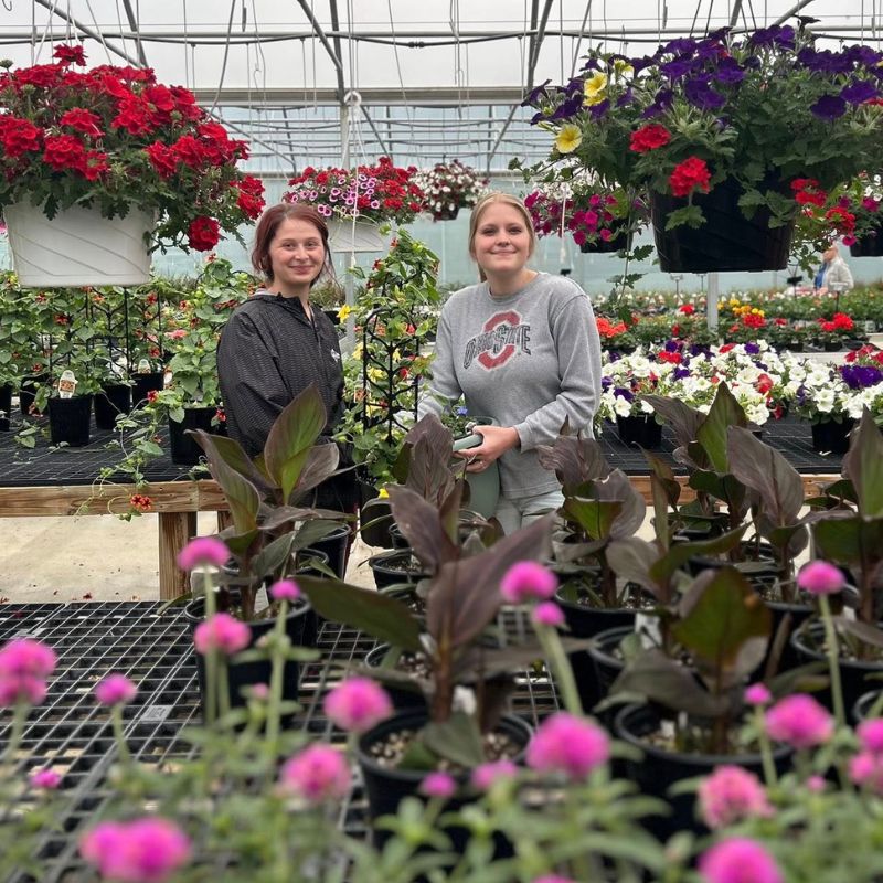 East Holmes Veterinary Clinic