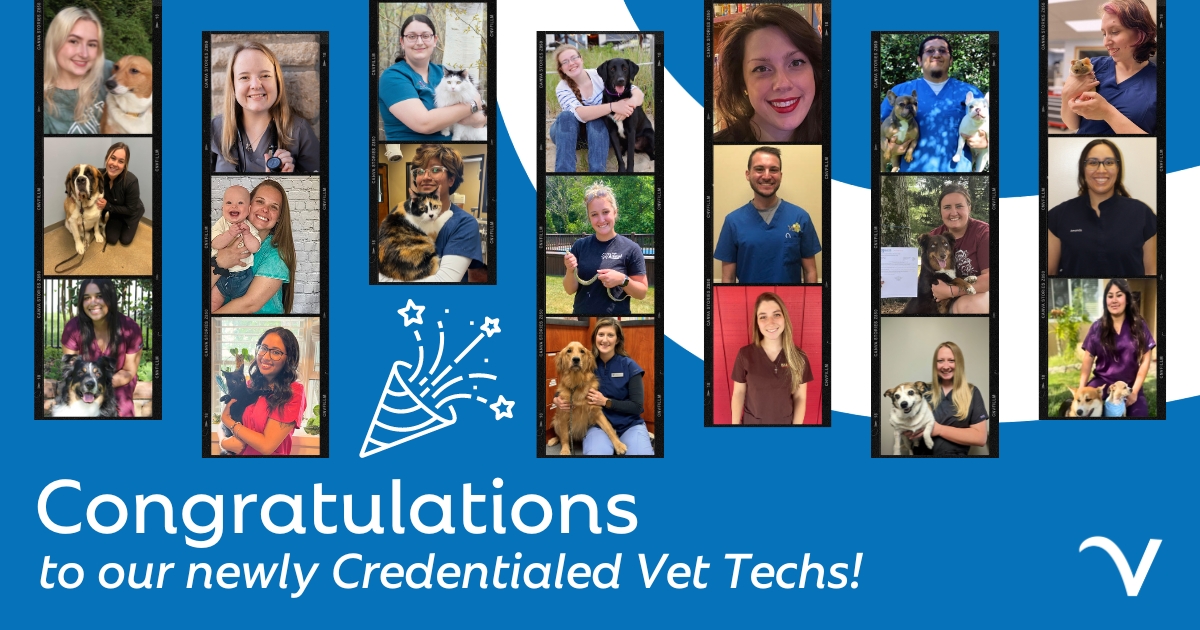 Shout Out to Our Newly Credentialed Vet Techs!