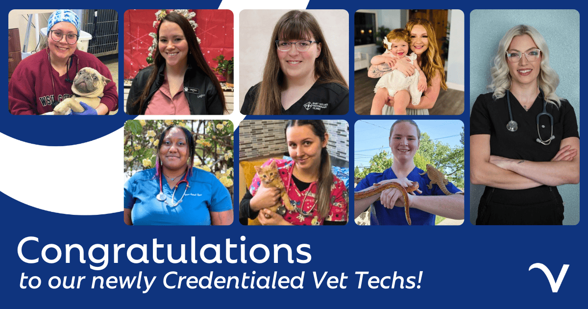 Congrats to Our Latest Credentialed Techs!