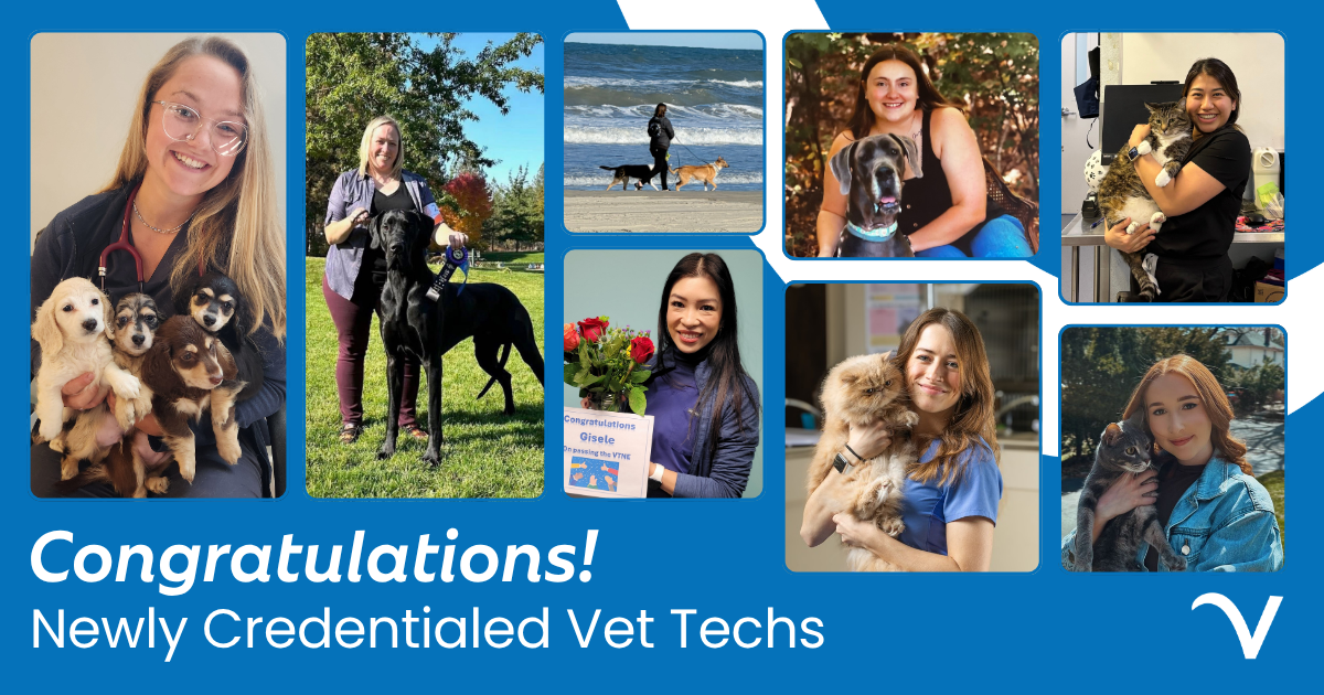 Celebrating Our Latest Credentialed Techs
