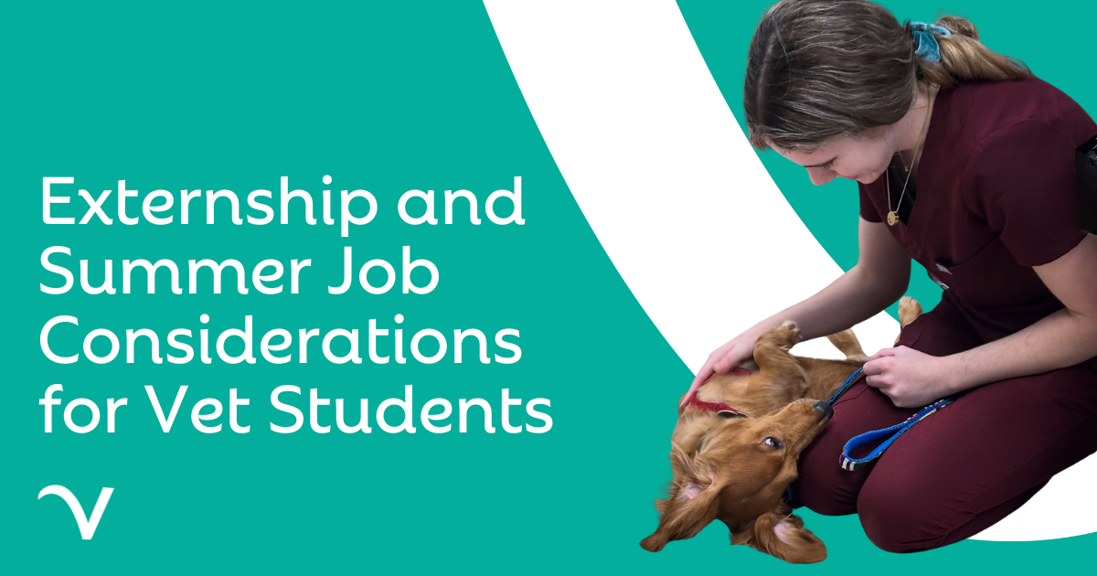Externship and Summer Job Considerations for Vet Students