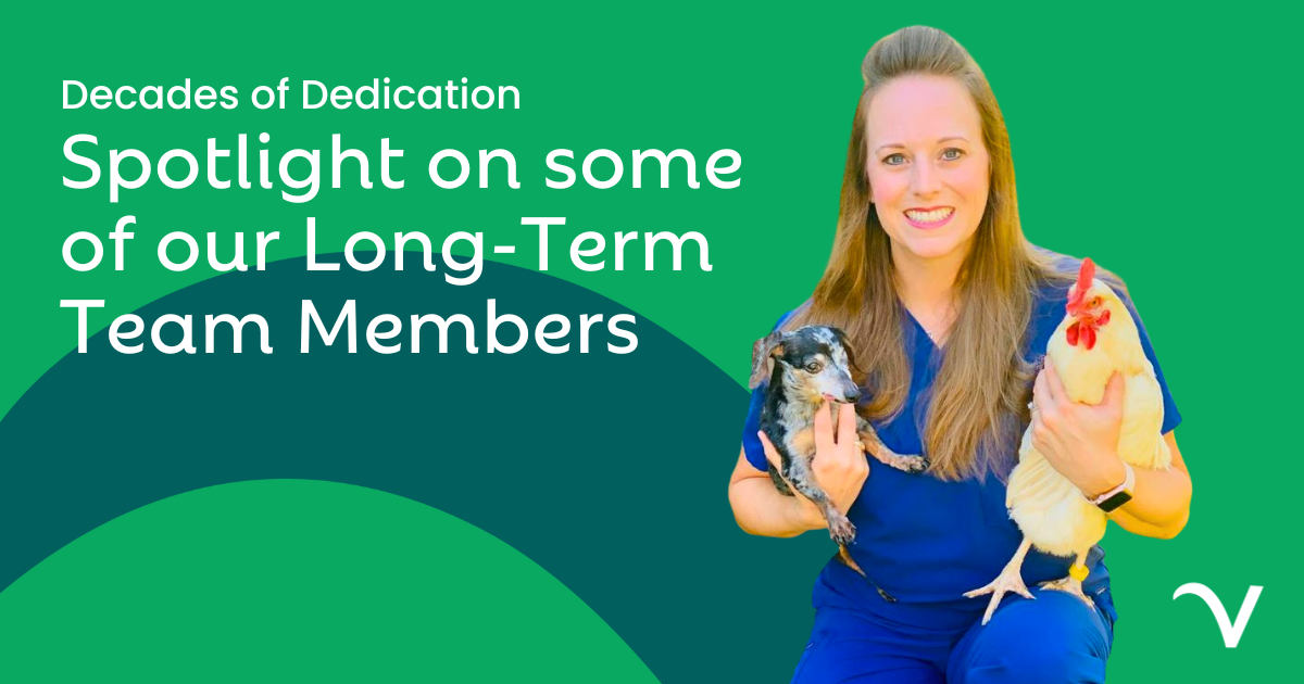 Decades of Dedication: Spotlight on Some of Our Long-Term Team Members