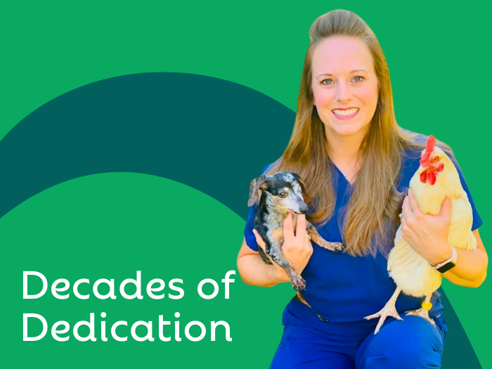 Decades of Dedication: Spotlight on Some of Our Long-Term Team Members