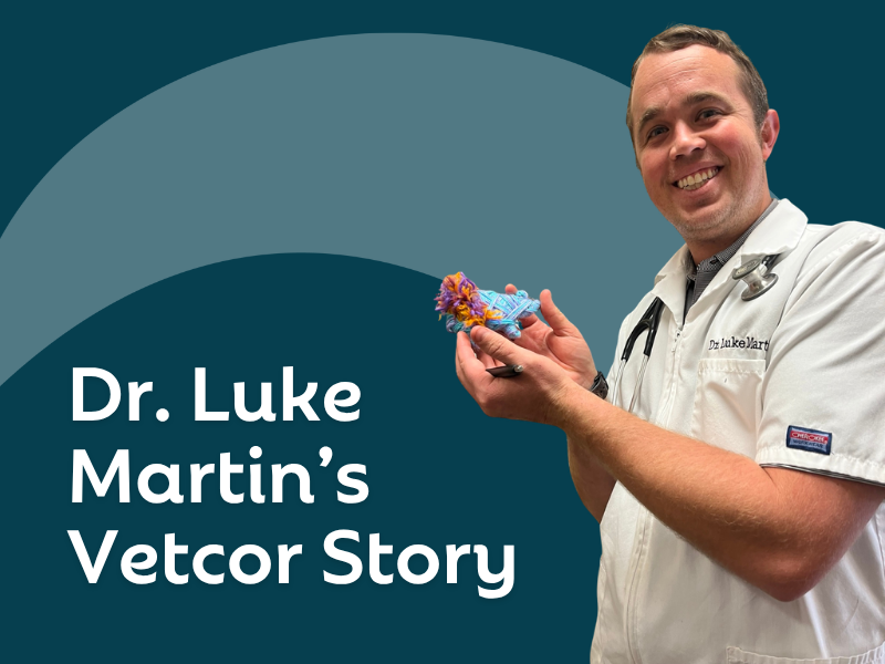 Living Our Values: Dr. Luke Martin’s Vetcor Story