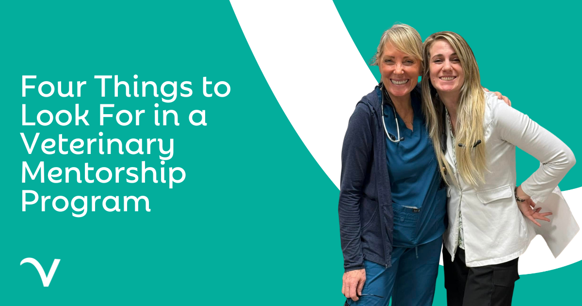 Four Things to Look For in a Veterinary Mentorship Program
