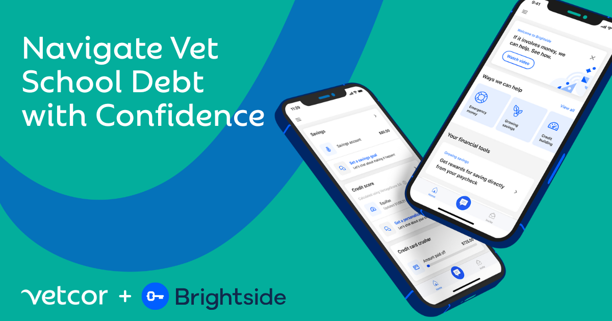 A Veterinarian’s Guide to Student Loan Repayment