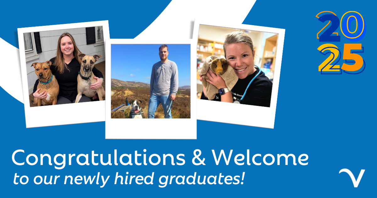 Congratulations to Our New Graduate and Early Career Veterinarians