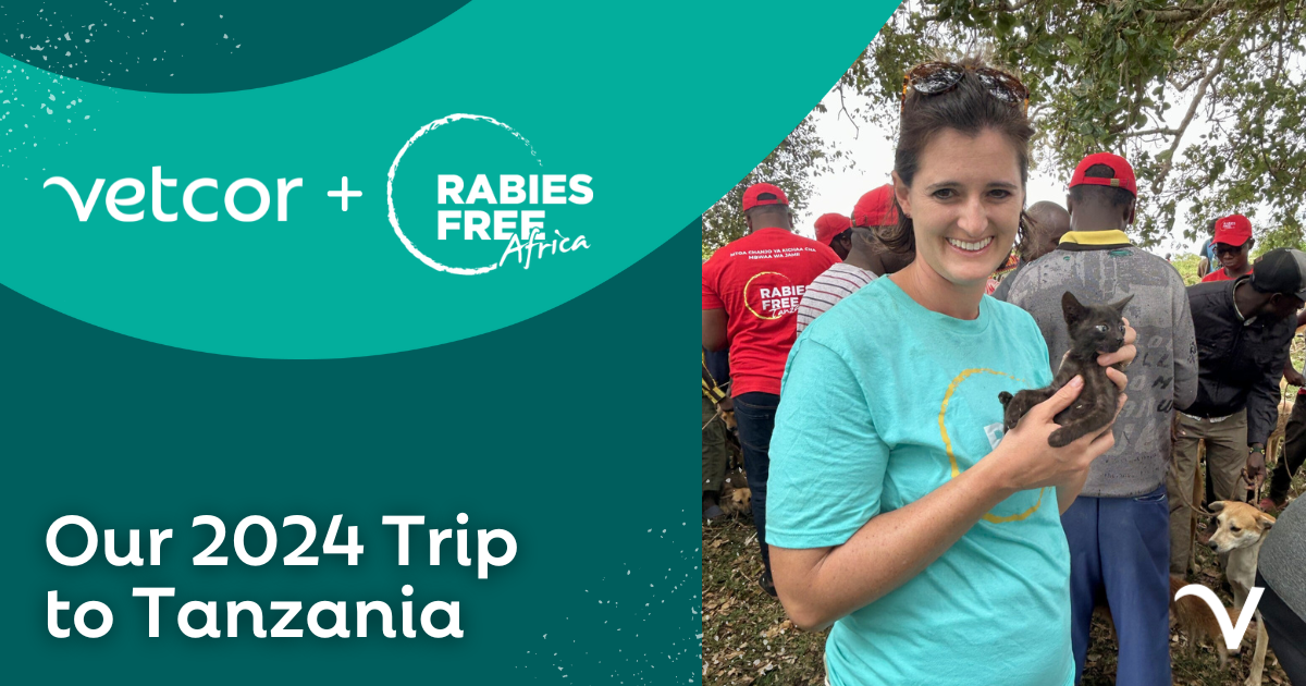 Giving Back with Rabies Free Africa in Tanzania – A Life-Changing Experience