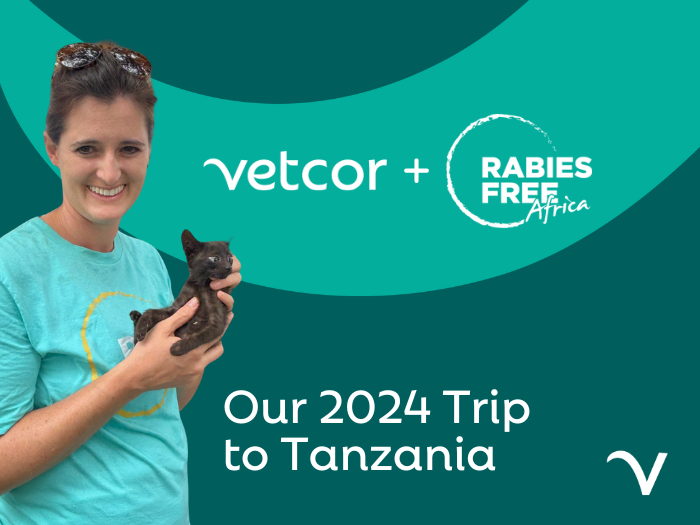 Giving Back with Rabies Free Africa in Tanzania – A Life-Changing Experience