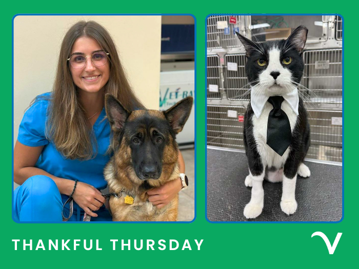 Thankful Thursday: From Inspiring Leaders to Incredible Teams