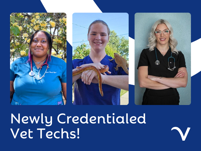 Congrats to Our Latest Credentialed Techs!