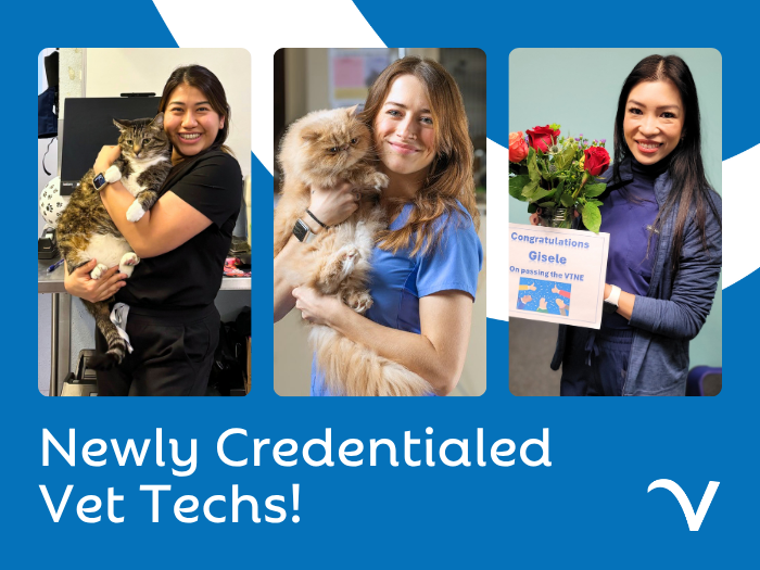 Celebrating Our Latest Credentialed Techs