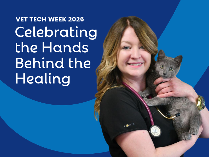 National Veterinary Technician Week: Celebrating the Hands Behind the Healing