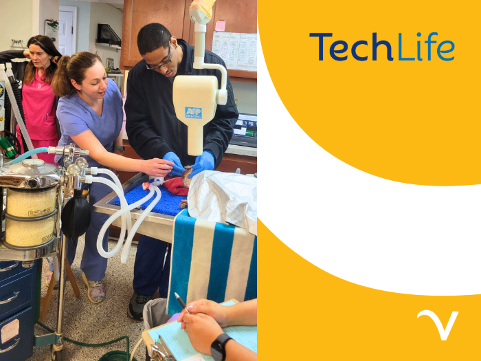TechLife Update: Empowering Veterinary Careers
