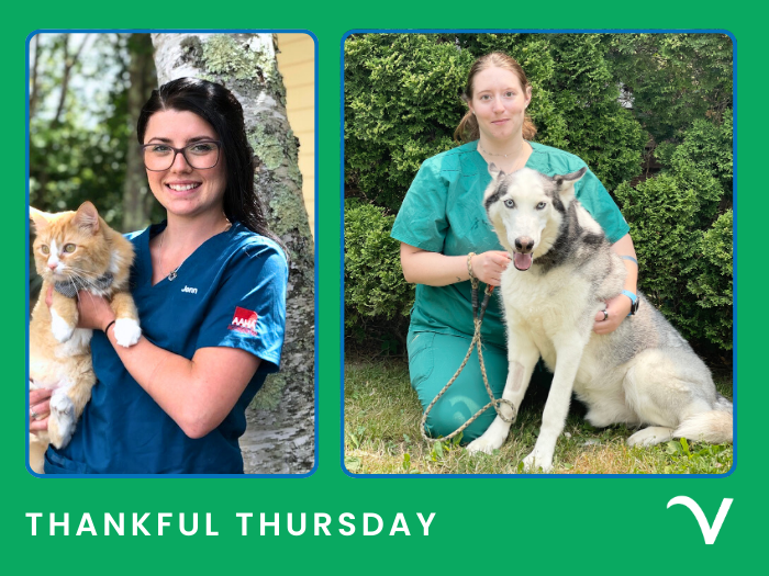 Thankful Thursday: Gratitude in Full Bloom