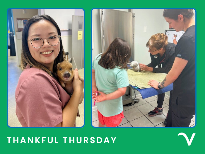 Thankful Thursday: Gratitude Grows