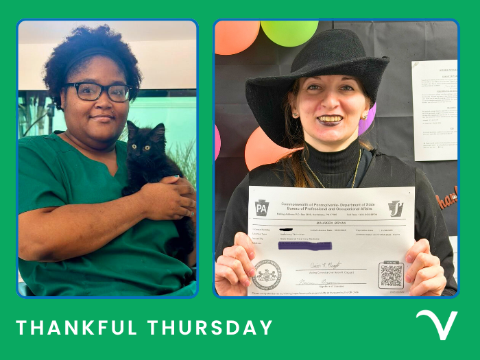 Thankful Thursday:  A Feast of Gratitude