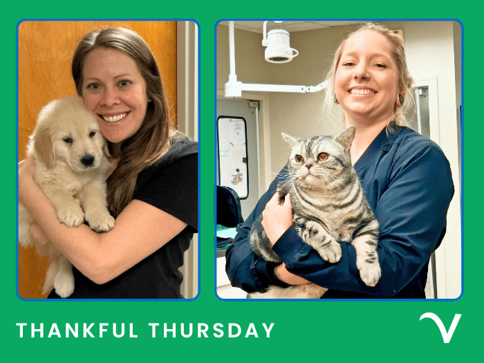 Thankful Thursday: Kindness, Laughter & Teamwork