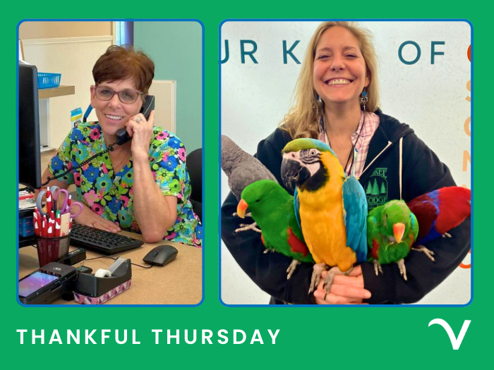 Thankful Thursday: Grati-Tails from Across our Practices