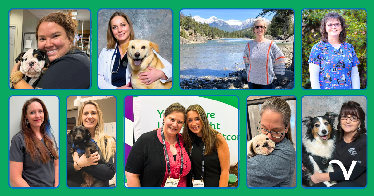 Thankful Thursday: Shout-Outs That Shine