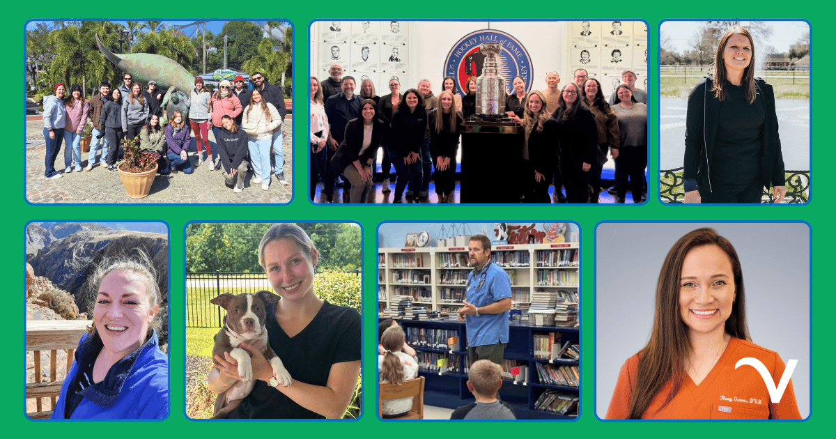 Thankful Thursday: The Gratitude Roundup