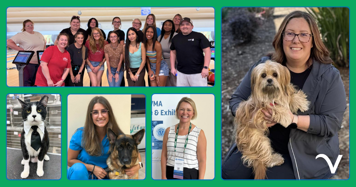 Thankful Thursday: From Inspiring Leaders to Incredible Teams