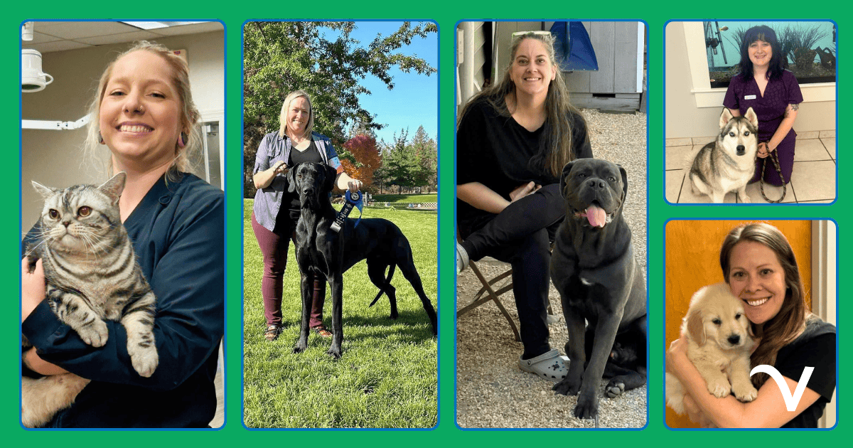 Thankful Thursday: Kindness, Laughter & Teamwork