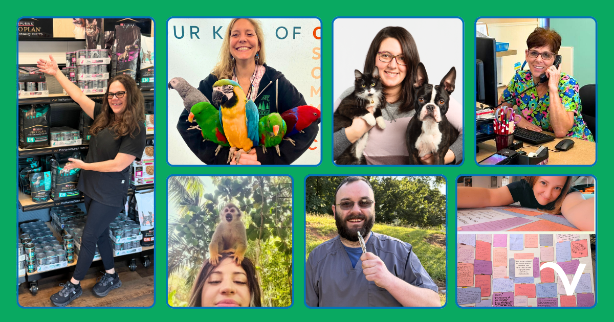 Thankful Thursday: Grati-Tails from Across our Practices