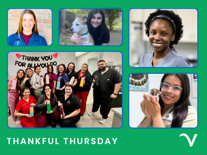 Thankful Thursday: Living Our Values Through Appreciation