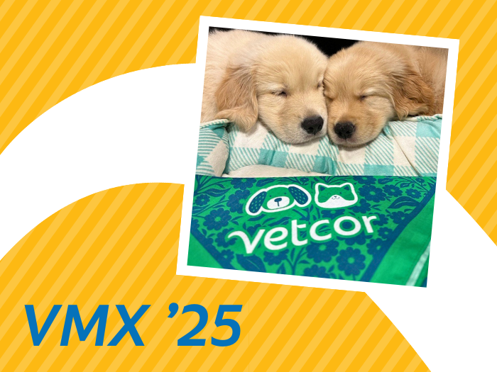 Vetcor's Wild Ride at VMX 2025!